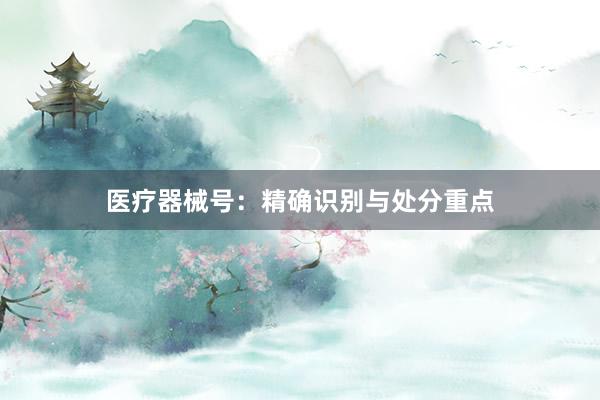 医疗器械号：精确识别与处分重点