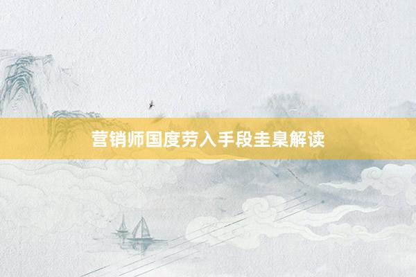 营销师国度劳入手段圭臬解读